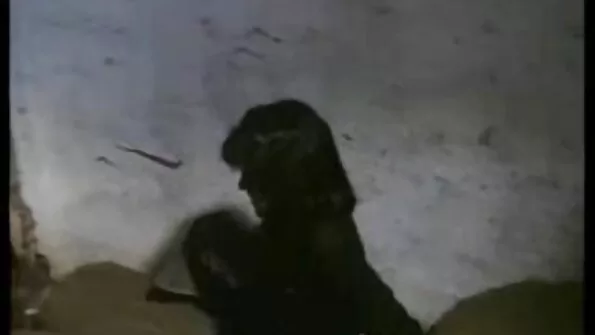 Jauna kekšė tarnavo trims dideliems gaidžiams su savo užpakaliu ir burna.